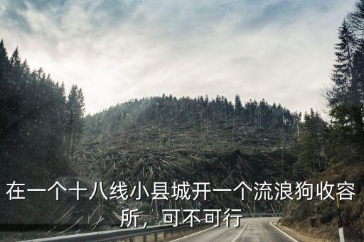 在一個十八線小縣城開一個流浪狗收容所，可不可行