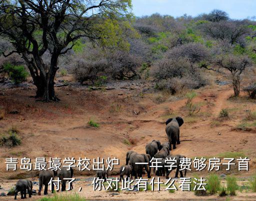 青島最壕學校出爐，一年學費夠房子首付了，你對此有什么看法
