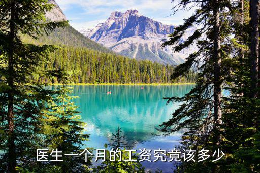 醫(yī)生一個(gè)月的工資究竟該多少