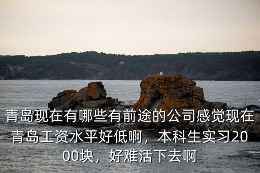 青島傳媒公司工資多少,感覺現在青島工資水平好低啊