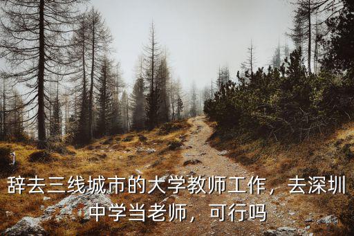 辭去三線城市的大學教師工作，去深圳中學當老師，可行嗎