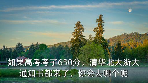 如果高考考了650分，清華北大浙大通知書都來了，你會去哪個呢