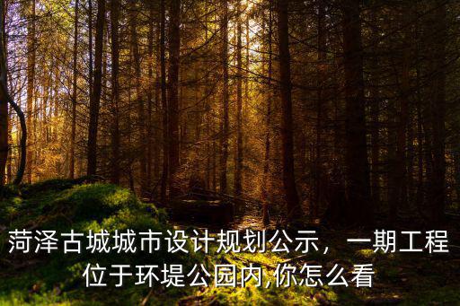 菏澤古城城市設(shè)計(jì)規(guī)劃公示，一期工程位于環(huán)堤公園內(nèi),你怎么看