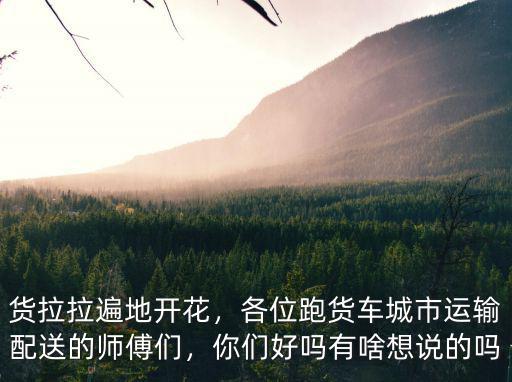 貨拉拉遍地開花，各位跑貨車城市運輸配送的師傅們，你們好嗎有啥想說的嗎