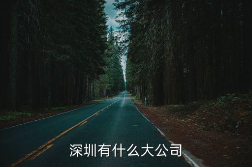 深圳有什么大公司