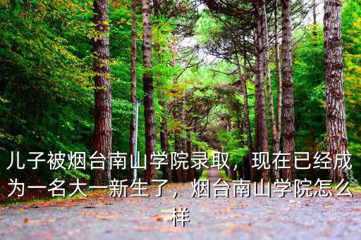 煙臺(tái)南山學(xué)院招多少人,煙臺(tái)南山學(xué)院怎么樣