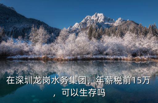深圳宏通集團怎么樣,在深圳龍崗水務集團