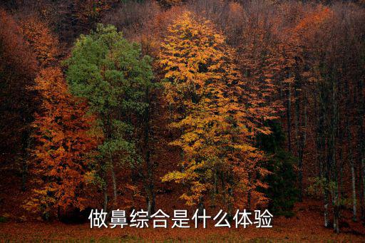 做鼻綜合是什么體驗