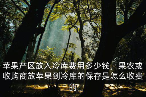 蘋果產區放入冷庫費用多少錢，果農或收購商放蘋果到冷庫的保存是怎么收費的
