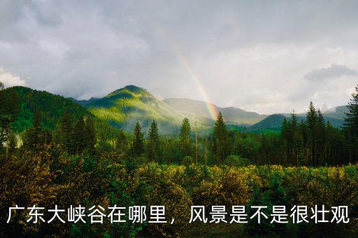 廣東最火的峽谷在哪里,廣東大峽谷在哪里