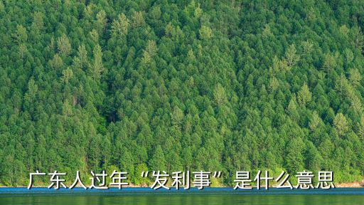 廣東人過年是怎么回事,廣東人過年發利事是什么意思