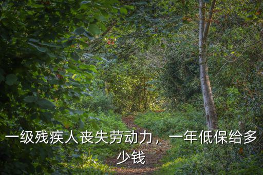 一級殘疾人喪失勞動力，一年低保給多少錢