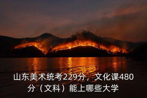 山東美術統考229分，文化課480分（文科）能上哪些大學