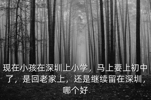 深圳現在有多少初中小學,現在小孩在深圳上小學
