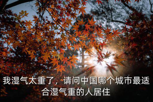 在廣東那邊濕氣太重怎么辦,廣州濕氣實(shí)在太重了