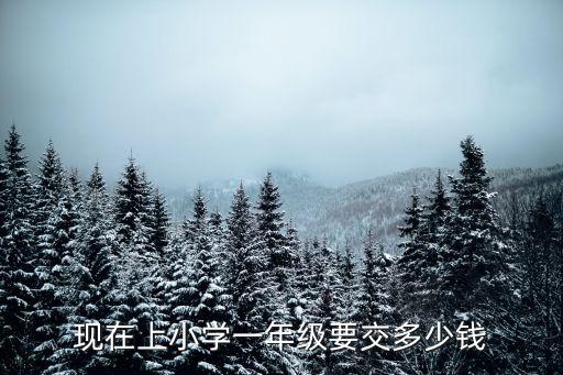 廣州小學作業本雜費交多少錢,你們家小孩上小學多少錢