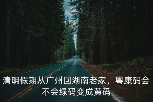 廣州黃碼怎么轉綠碼,粵康碼會不會綠碼變成黃碼