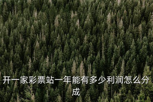 開一家彩票站一年能有多少利潤怎么分成