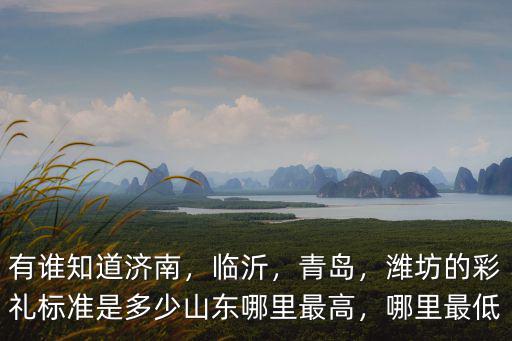 有誰知道濟南，臨沂，青島，濰坊的彩禮標準是多少山東哪里最高，哪里最低