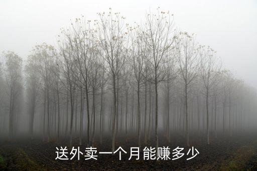 送外賣一個(gè)月能賺多少
