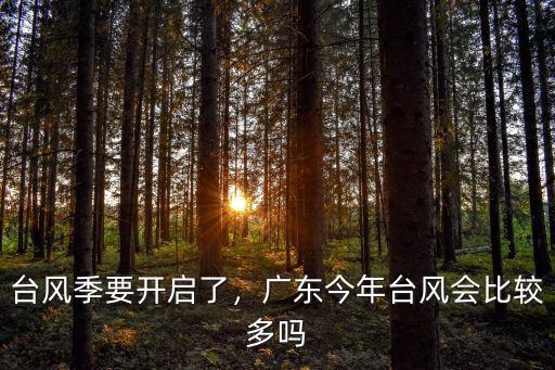 臺風季要開啟了，廣東今年臺風會比較多嗎