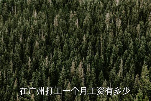 廣州洗車一個(gè)月多少錢一個(gè)月,一個(gè)月要多少錢