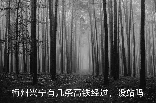 梅州興寧有幾條高鐵經(jīng)過，設站嗎