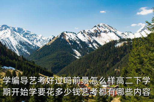 濟寧學編導要多少錢,學編導藝考好過嗎