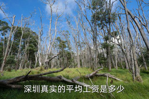 深圳真實的平均工資是多少