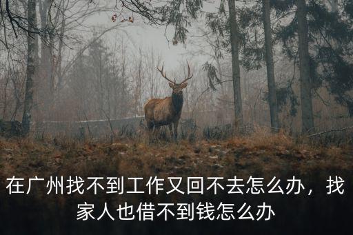 想去廣東找不到工作怎么辦,仍然找不到工作