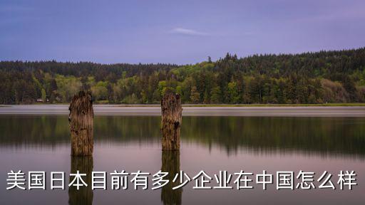 山東省有多少家日本企業(yè),中國(guó)企業(yè)500強(qiáng)里