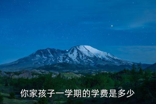 你家孩子一學(xué)期的學(xué)費(fèi)是多少