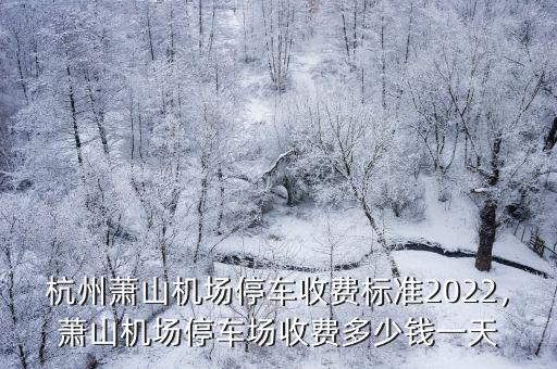 杭州機場停車多少錢一個小時,杭州機場停車一天多少錢