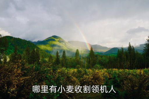 湛江哪里有二手小麥收割機,哪里有小麥收割領機人
