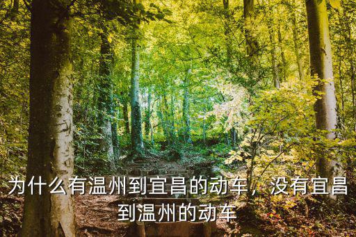 溫州至宜昌火車車票多少錢,為什么有溫州到宜昌的動車