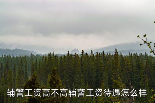 輔警工資高不高輔警工資待遇怎么樣