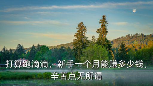 杭州輪胎工多少錢一個(gè)月,新手一個(gè)月能賺多少錢