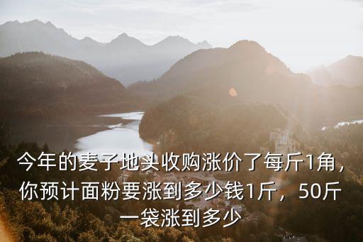 東營區今日面粉多少錢一斤,50斤一袋漲到多少