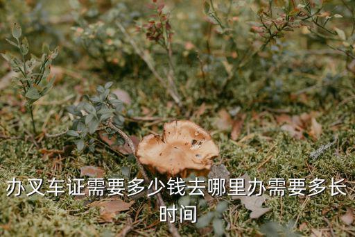 辦叉車證需要多少錢去哪里辦需要多長(zhǎng)時(shí)間