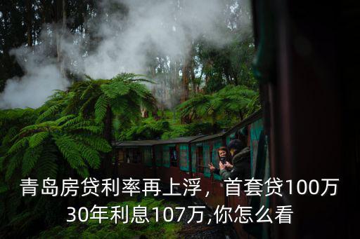 青島房貸利率再上浮，首套貸100萬30年利息107萬,你怎么看