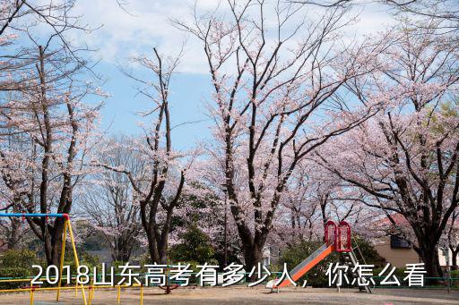 2018山東高考有多少人，你怎么看