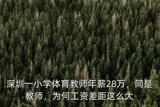 深圳小學(xué)臨聘教師一般工資多少錢,深圳教師基本工資有多少