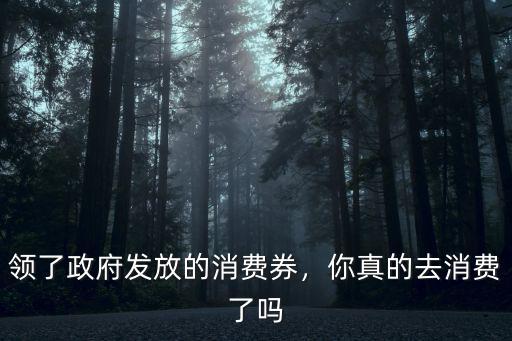 深圳政府發的消費券在哪里領,你真的去消費了嗎