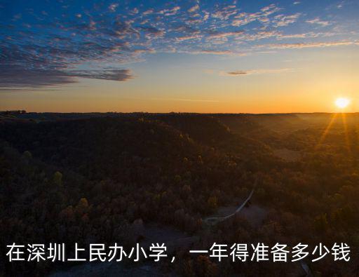 在深圳上民辦小學，一年得準備多少錢
