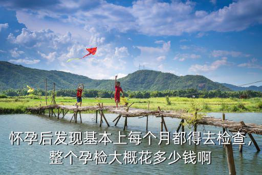 懷孕后發現基本上每個月都得去檢查，整個孕檢大概花多少錢啊