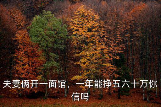 在山東開個面館一年能掙多少錢,一年能掙五六十萬你信嗎