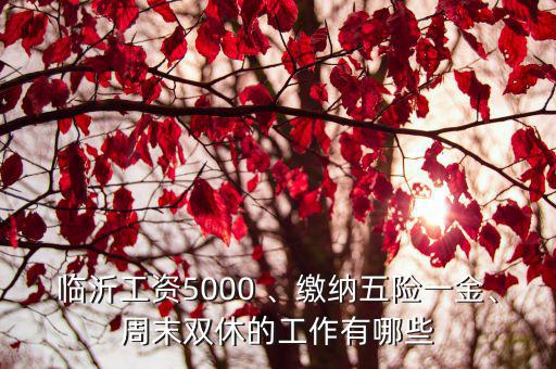 臨沂工資5000 、繳納五險一金、周末雙休的工作有哪些