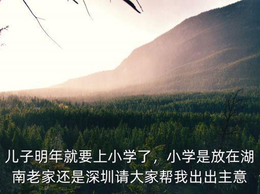 深圳沒有學區房怎么上好小學,沒有深圳戶口