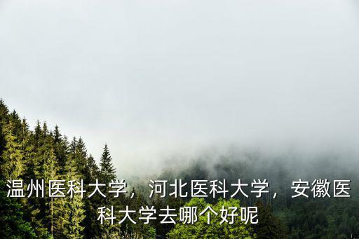 溫州醫(yī)科大學(xué)在河北文科招生多少分,河北醫(yī)科大學(xué)