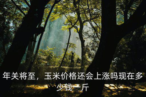 年關將至，玉米價格還會上漲嗎現在多少錢一斤